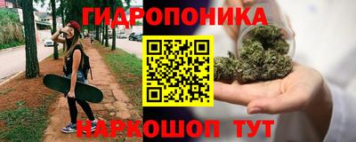эйфоретик Ачхой-Мартан