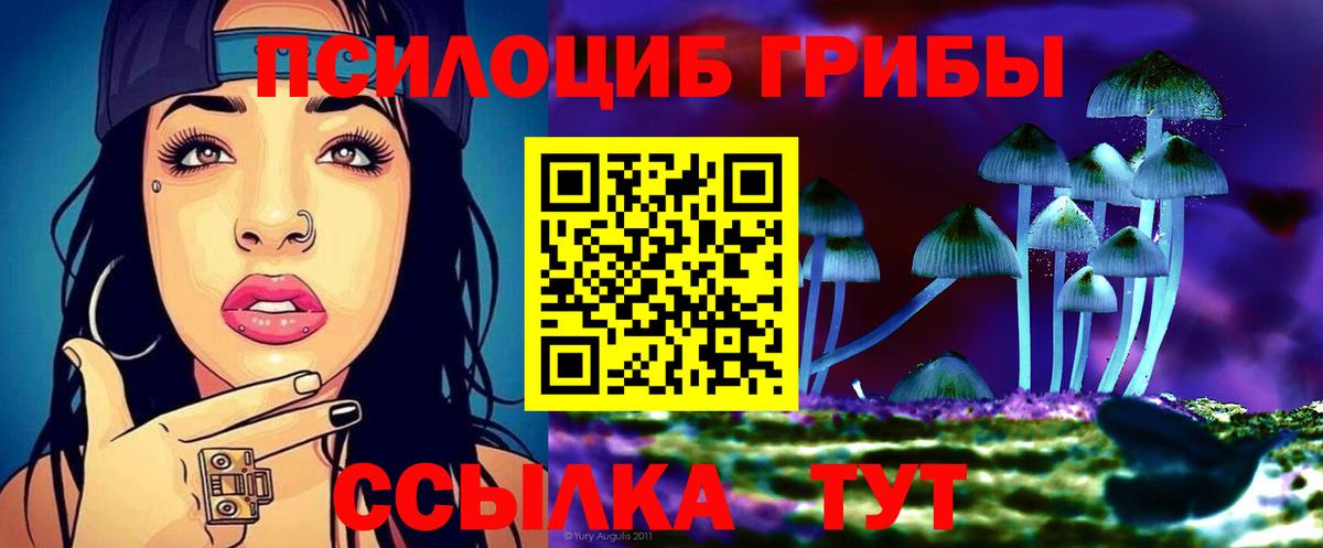 Асбест  Галлюциногенные грибы Psilocybe  Вход с VPN 